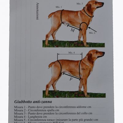 Giubbetto ad alta visibilità in materiale antistrappo impermeabile