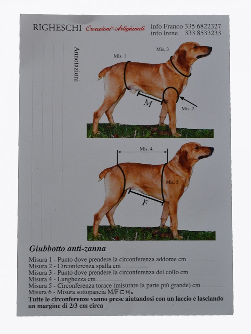 Giubbetto ad alta visibilità in materiale antistrappo impermeabile